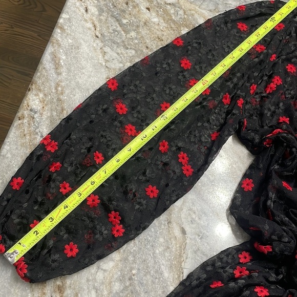 NEW Zara Oversized Floral Embroidered Sheer Dress Black Red Bloggers Favorite - Picture 12 of 13